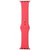 Ремешок Sport Band для