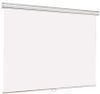 Экран для проектора Lumien Master Picture 16:9 173x200