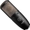 Микрофон AKG P220 (3101H00420)