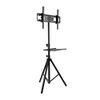 Телескопическая стойка-тренога напольная для TV/монитора 32"-70", Arm media TR-STAND-2, до 40кг (10247)
