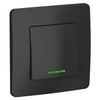 Выключатель Schneider Electric Blanca, 1кл., антрацит