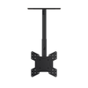 Кронштейн потолочный для TV/монитора 26"-55", Wize Pro C5524A, до 36кг (C5524A)