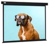 Экран для проектора Cactus CS-PSW-183X244-BK, 124" 4:3 183x244см