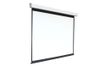 Экран для проектора Digis DSEF-4302, 86" 4:3 178x139
