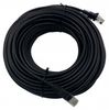 Патч-корд Buro UTP, кат.5e, 25 м, RJ21-RJ45, черный (1645955)