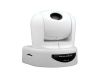 IP-камера SPYG SLT-87ZA/P (3.8 мм-4.56 см), купольная