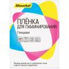 Пленка для ламинирования Silwerhof 216x303 (A4) 100 шт