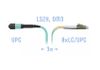 Патч-корд оптический SNR SNR-PC-MPO/UPC-8LC/UPC-DPX-MM-3m 3 м