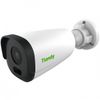 IP-камера TIANDY TC-C32GN (4 мм), уличная, корпусная