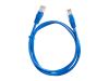 Патч-корд Netko UTP, кат.5e, 1.5 м, RJ45-RJ45, синий (N.BC.UTP.5e-1.5m-5-lszh)