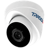 IP-камера Trassir TR-D2S1-noPOE v2 (3.6 мм), купольная