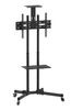 Стойка мобильная для телевизоров 37"-70", DIGIS DSM-P164CL, до 50 кг