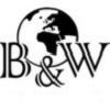 Тонер B&W Color Universal BCOL-301Y-50, бутыль 50 г, желтый