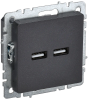 Розетка IEK Brite РЮ10-1-БрЧ (BR-U21-D31-K02)