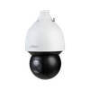 IP-камера DAHUA SD5A245GB-HNR (3.95 мм-178 мм), уличная, купольная