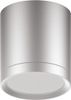 Светильник бытовой GAUSS Overhead HD019, серебристый