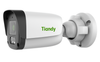 IP-камера TIANDY TC-C321N (4 мм), уличная, цилиндрическая, POE (TC-C321N I3/E/Y/4MM)