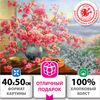 Картина по номерам ОСТРОВ СОКРОВИЩ "Букет сакуры", 50 смx40 см
