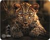 Коврик для мыши Cactus Leopard, 250x200x3 мм, принт