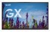 Интерактивная панель SMART Board SBID-GX165-V3