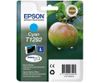 Картридж Epson T1292 (C13T12924010/C13T12924011/C13T12924012/C13T12924021), голубой