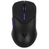 Мышь Rapoo VT9Pro4K , USB/Радиоканал, черный (VT9Pro4K )