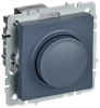 Светорегулятор IEK BRITE СС10-1-0-БрМ (BR-D20-0600-K35)