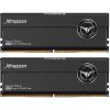 Комплект памяти DDR5 DIMM 32Gb (2x16Gb), 6000MHz Team Group (FFXD532G6000HC30DC01)