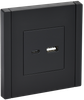 Розетка IEK FORTE&PIANO FP150 (FP-U22-D31-K02)