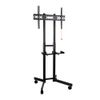 Стойка напольная для TV/монитора 32"-80", Arm media PT-STAND-7, до 50 кг (10231)