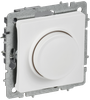 Светорегулятор IEK BRITE СС10-1-0-БрАБ (BR-D20-0600-K91)