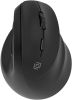 Мышь Oklick 688MW ERGO, USB, черный (2070320)