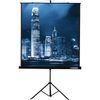 Экран для проектора Lumien Master View 1:1 220x220