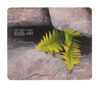 Коврик для мыши Gembird папоротник, 229х195х2 мм, принт