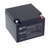 Аккумуляторная батарея для ИБП X-treme Xtreme OT28-12/W, 12V, 28Ah
