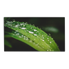 Профессиональный дисплей 55" Dahua LS550UDM-UF, 1080p Full HD