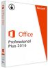 Лицензия Microsoft Office Professional Plus 2019, Russian, на 1 ПК (79P-05729)