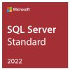 Лицензия Microsoft SQL Server 2022 Standard Edition, English (228-11674)