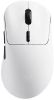 Мышь Rapoo VT3, USB/Радиоканал, белый (VT3DM-BLWHT)
