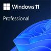 Операционная система Microsoft Windows 11 Pro 64 bit All Language (MDD-WIN11-PRO)