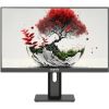 Монитор 23.8" RDW RDW2401K черный