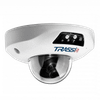 IP-камера Trassir TR-D4251WDIR2 v2 3.6 (3.6 мм), уличная, купольная (TR-D4251WDIR2 v2 3.6)