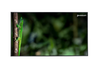 Профессиональный дисплей 55" Geckotouch 55DCR, 4K, 3840x2160