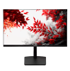 Монитор 31.5" RDW RDW3207 черный