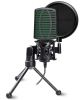 Микрофон Ritmix RDM-126 Pro, конденсаторный