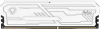 Память DDR4 DIMM 8Gb, 3600MHz Netac (NTSHD4P36SP-08W)